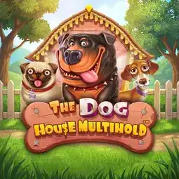 The Dog House Multihold game at Casino Mate for Australia players